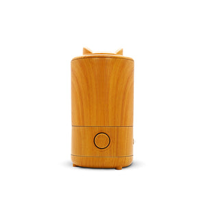 Indoor humidifier HDL-966